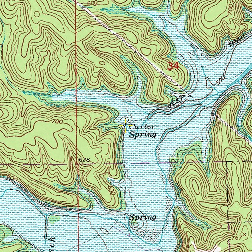 Topographic Map of Carter Spring, MO