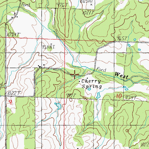 Topographic Map of Cherry Spring, MO