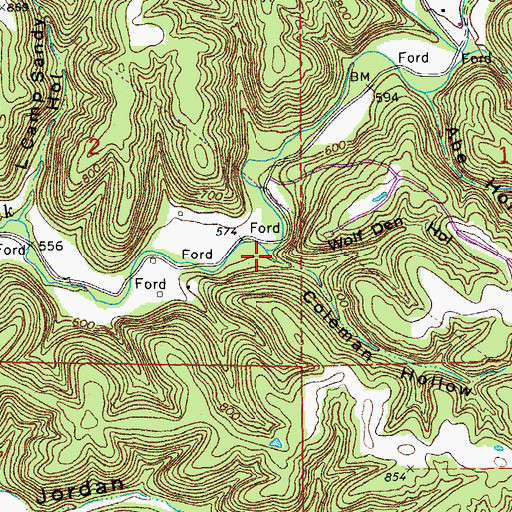 Topographic Map of Coleman Hollow, MO