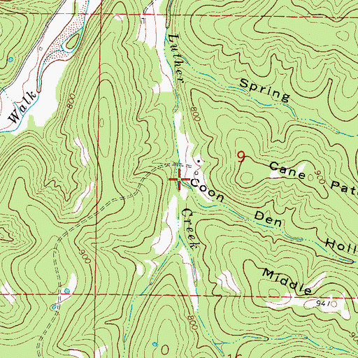 Topographic Map of Coon Den Hollow, MO