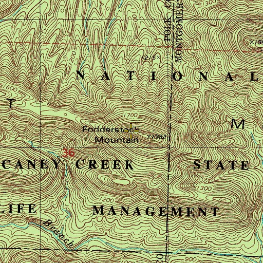 Topographic Map of Fodderstack Mountain, AR