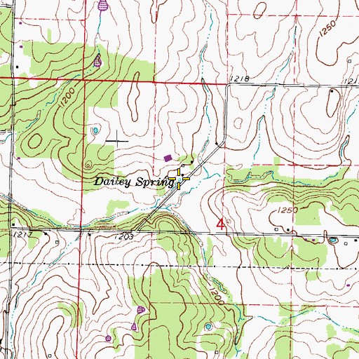 Topographic Map of Dailey Spring, MO