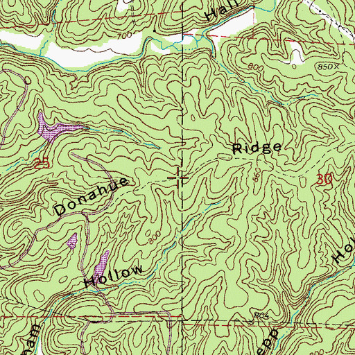 Topographic Map of Donahue Ridge, MO