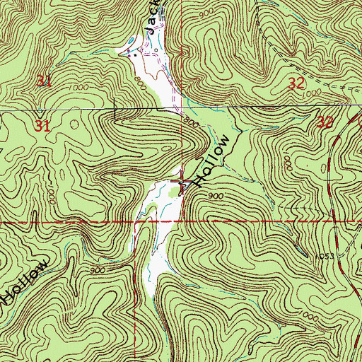 Topographic Map of Dripping Spring Hollow, MO