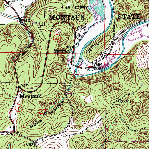 Topographic Map of Duke Hollow, MO
