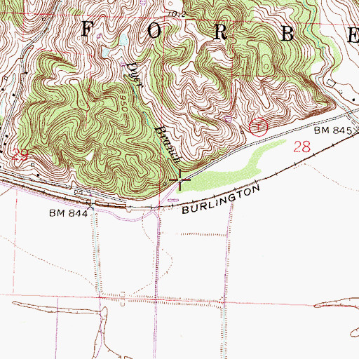 Topographic Map of Dyer Branch, MO