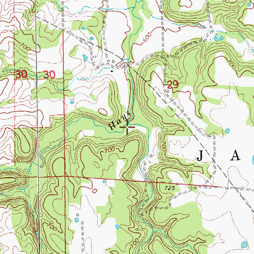 Topographic Map of East Fork, MO