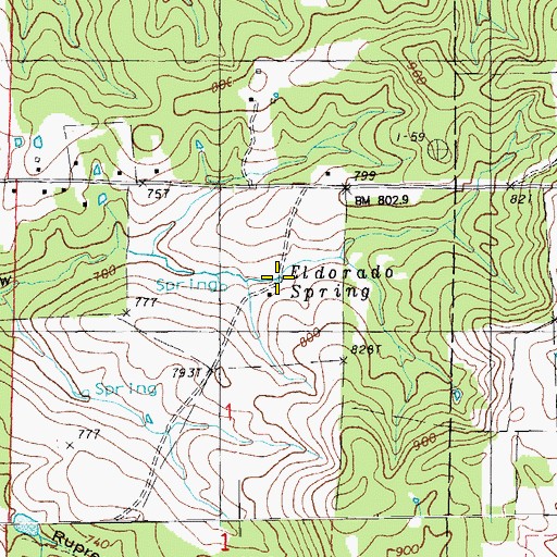 Topographic Map of Eldorado Spring, MO