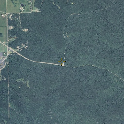Aerial/Satellite Image of Elm Spring, MO