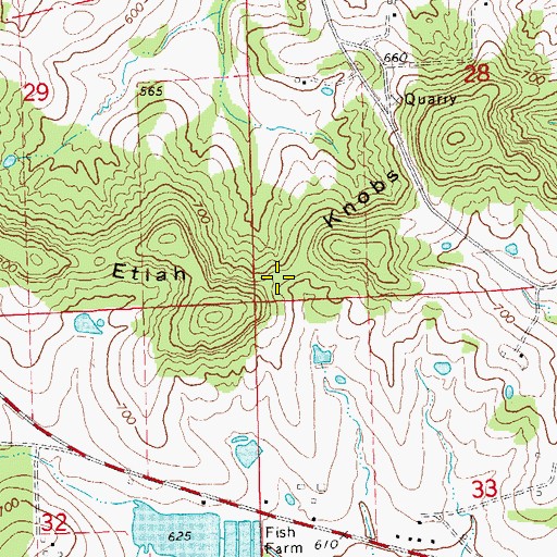 Topographic Map of Etlah Knobs, MO