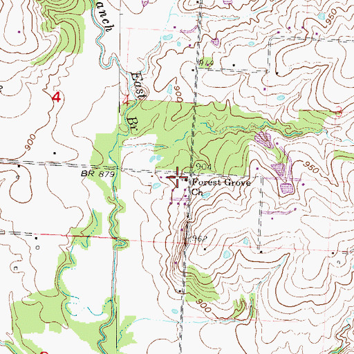 Topographic Map of Forest Grove Church, MO