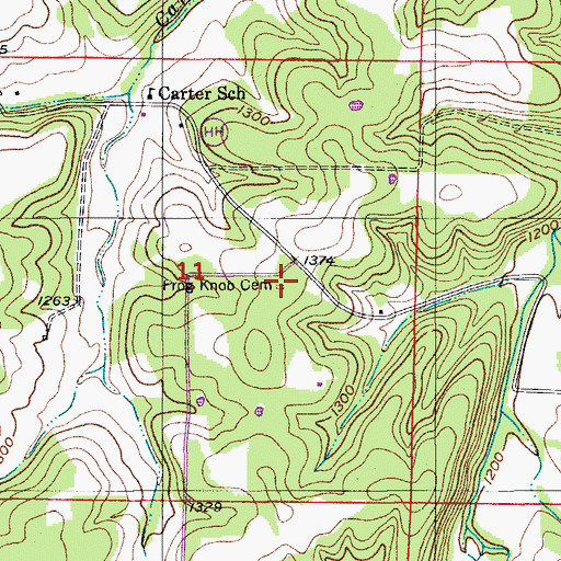 Topographic Map of Frog Knob Cemetery, MO