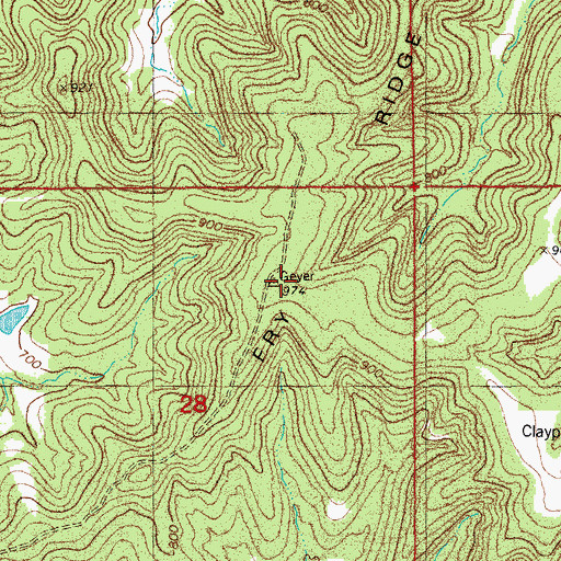 Topographic Map of Fry Ridge, MO