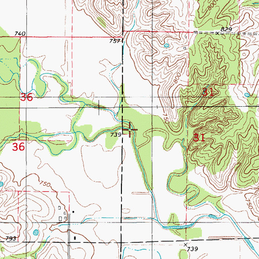 Topographic Map of Goodson Branch, MO