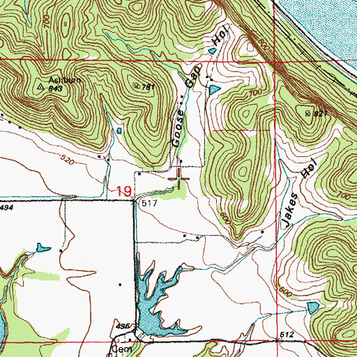 Topographic Map of Goose Gap Hollow, MO