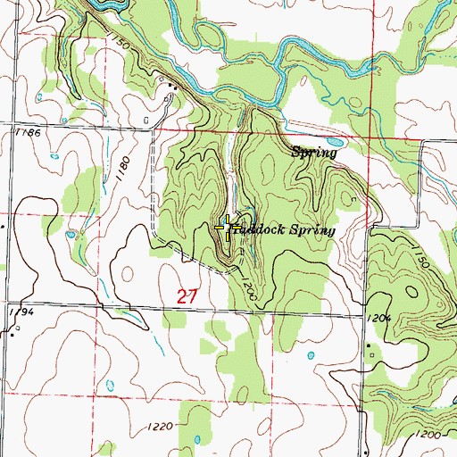Topographic Map of Haddock Spring, MO
