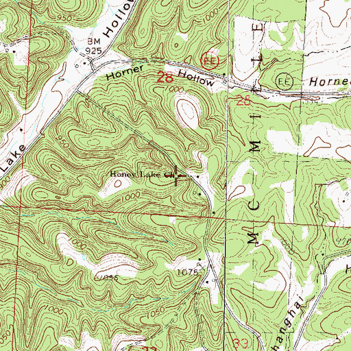 Topographic Map of Honey Lake Church, MO