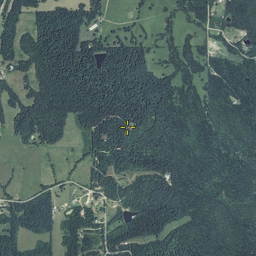 Aerial/Satellite Image of Luckett Ridge, MO