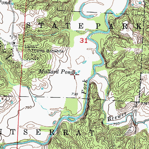 Topographic Map of Mallard Pond, MO