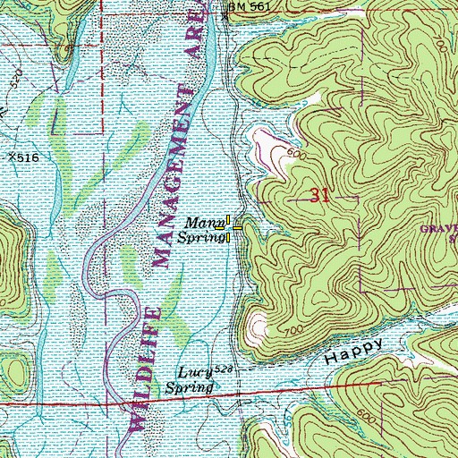 Topographic Map of Mann Spring, MO