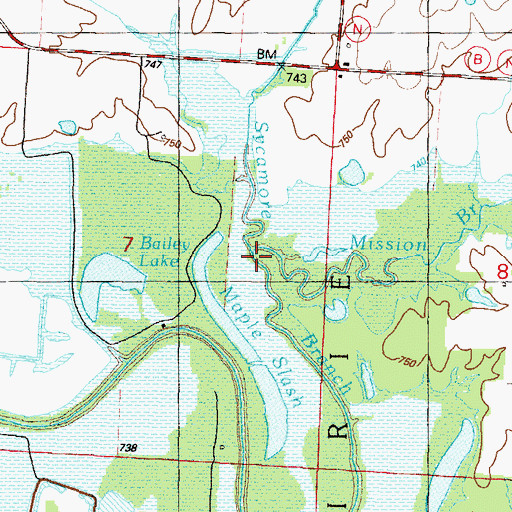 Topographic Map of Mission Branch, MO