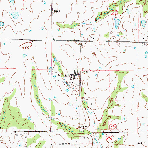 Topographic Map of Mount Gilead Church, MO