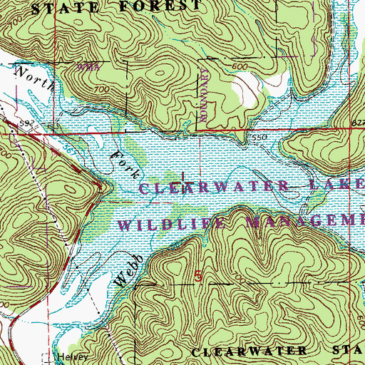 Topographic Map of North Fork Webb Creek, MO