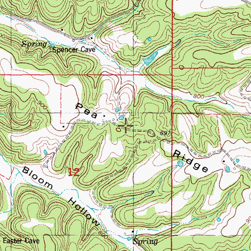 Topographic Map of Pea Ridge, MO