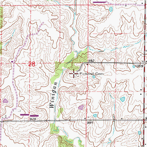 Topographic Map of Pickerel Cemetery, MO