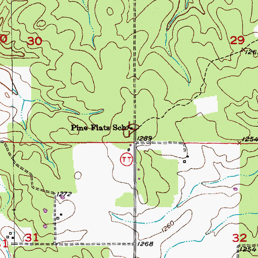 Topographic Map of Pine Flats School, MO