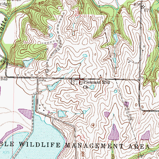 Topographic Map of Pleasant Hill Church, MO