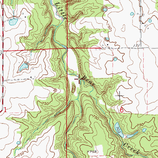 Topographic Map of Poor Branch, MO