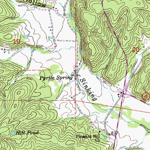 Topographic Map of Pyrtle Spring, MO