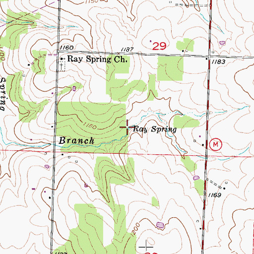 Topographic Map of Ray Spring, MO