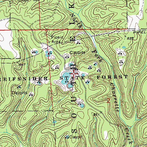 Topographic Map of Reifsnider State Forest, MO