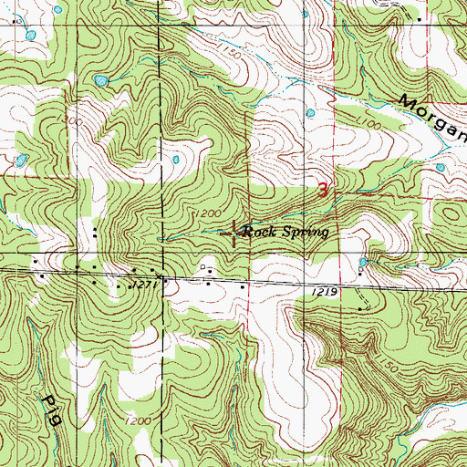 Topographic Map of Rock Spring, MO