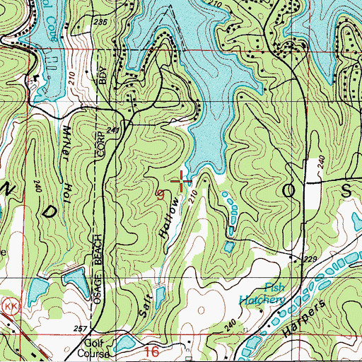 Topographic Map of Salt Hollow, MO