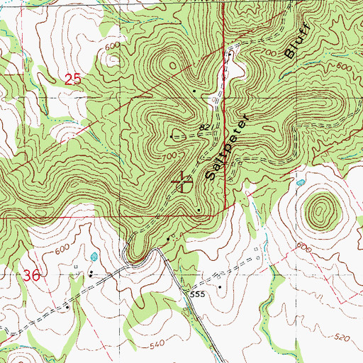 Topographic Map of Saltpeter Bluff, MO