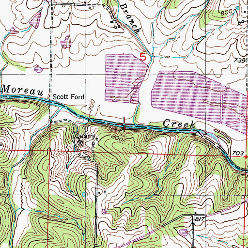 Topographic Map of Scott Branch, MO