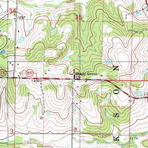 Topographic Map of Shady Grove Church, MO