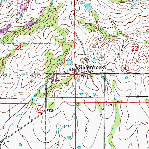 Topographic Map of Shamrock, MO