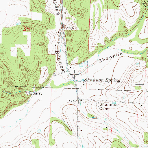 Topographic Map of Shannon Hollow, MO