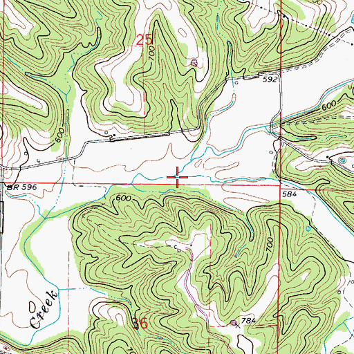Topographic Map of Smith Branch, MO