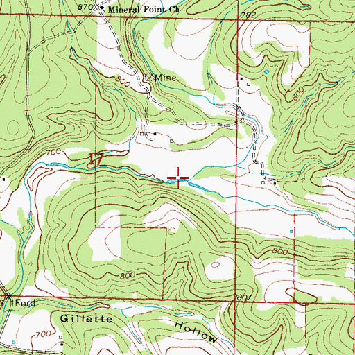 Topographic Map of South Bridges Creek, MO
