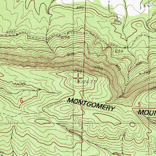 Topographic Map of Montgomery Mountain, AR