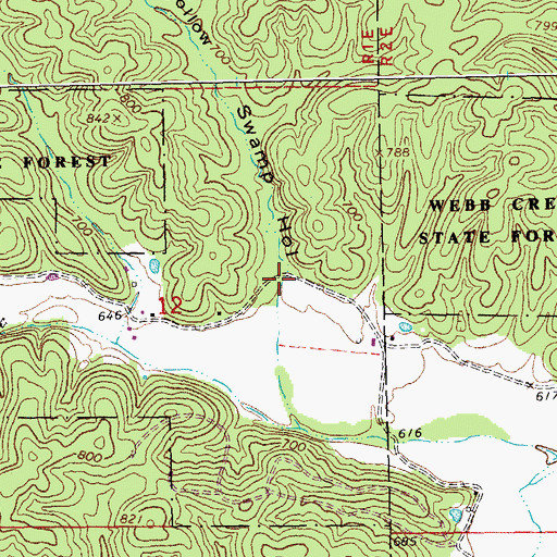 Topographic Map of Swamp Hollow, MO