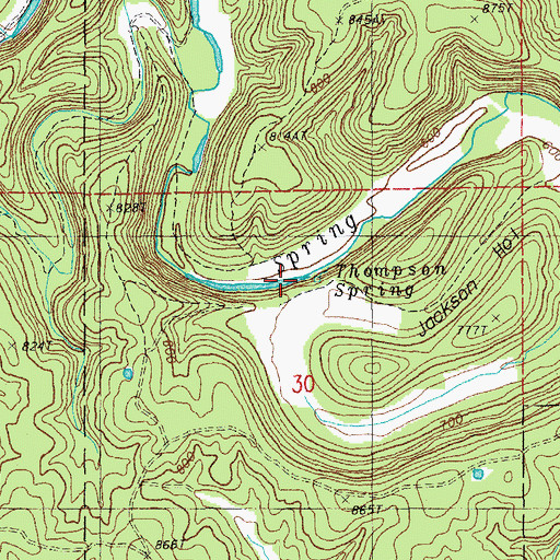 Topographic Map of Thompson Spring, MO