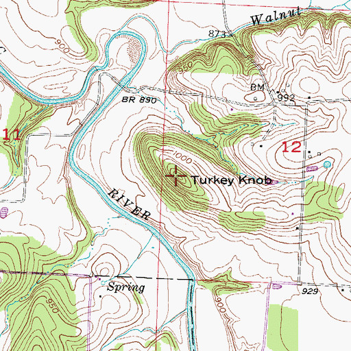 Topographic Map of Turkey Knob, MO