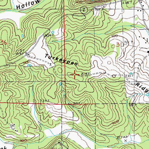 Topographic Map of Turkeypen Ridge, MO