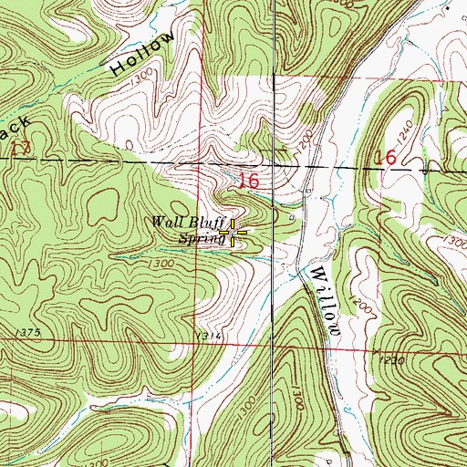 Topographic Map of Wall Bluff Spring, MO